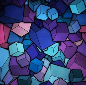 Meet your Posher, Janelle